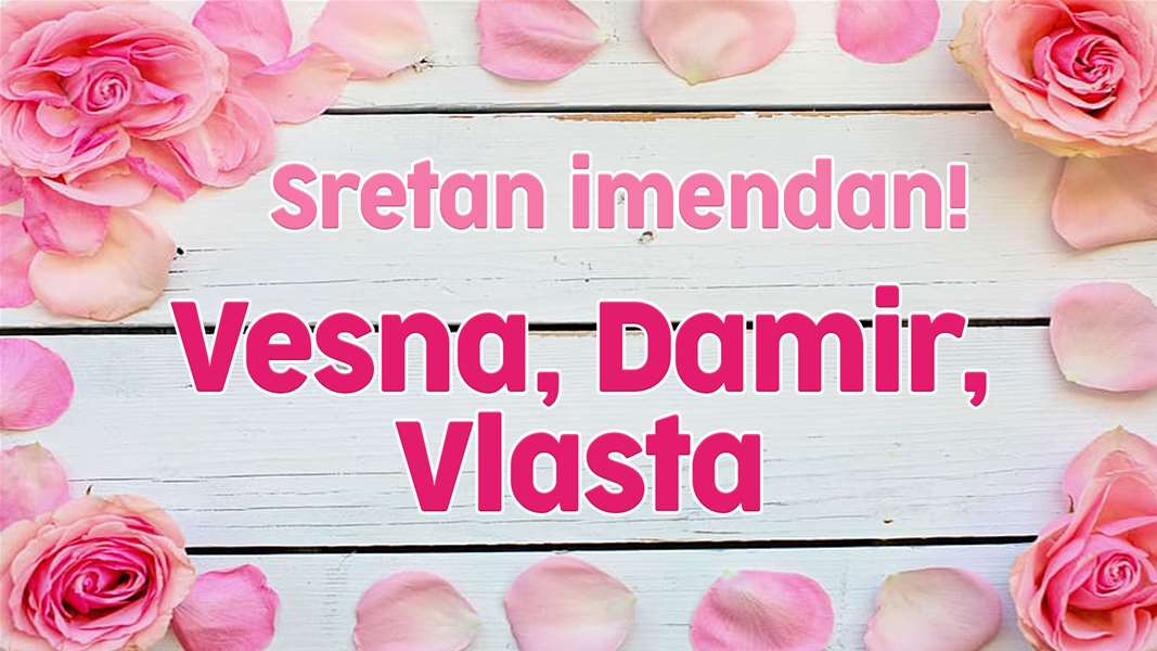 vesna, lasta, damir