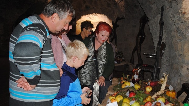 izložba jabuka (1).JPG