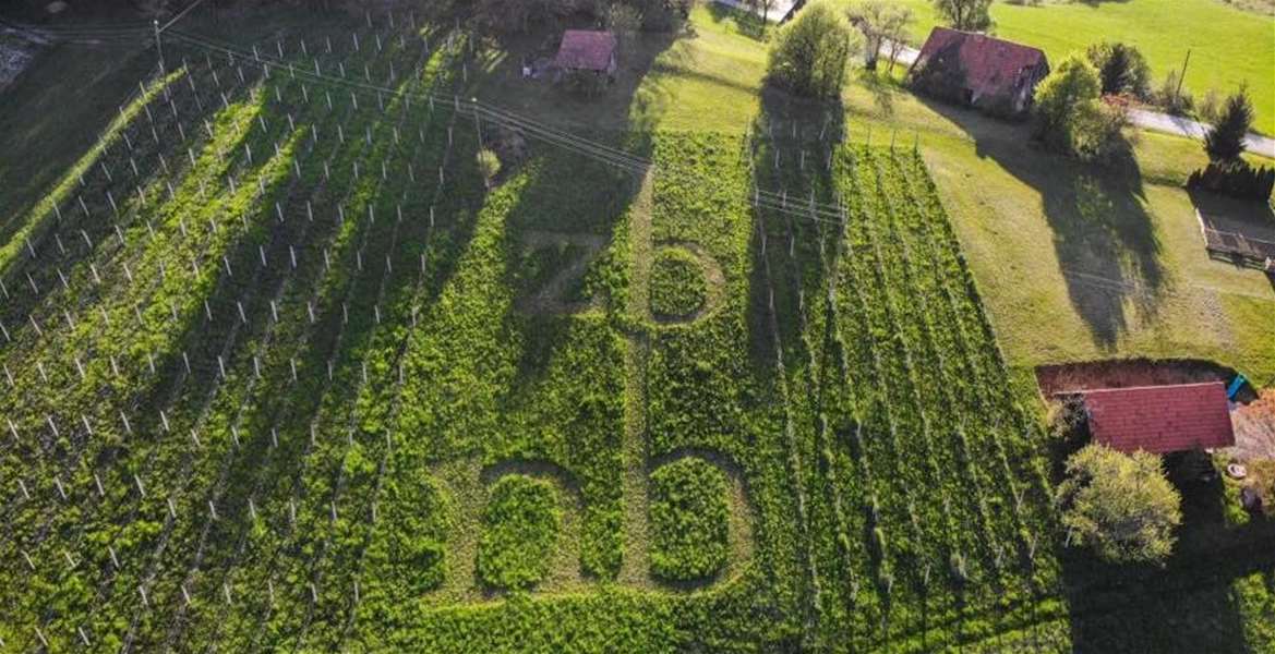 foto: Facebook Z brega na breg