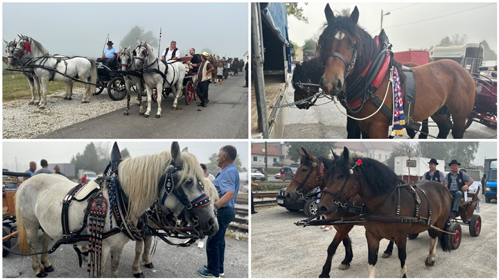 FotoJet - 2023-08-20T083346.917.jpg