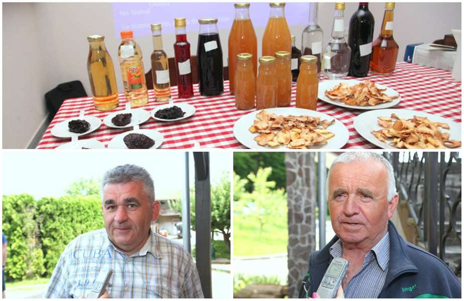 kolaž prerada voća.jpg