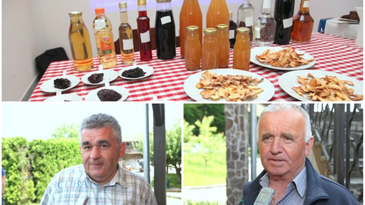 kolaž prerada voća.jpg