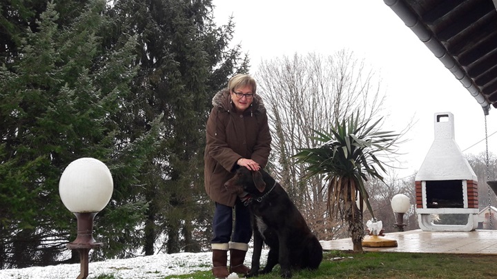 veterinarka glavna.jpg