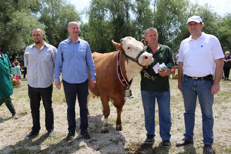 izložba stoke i konja