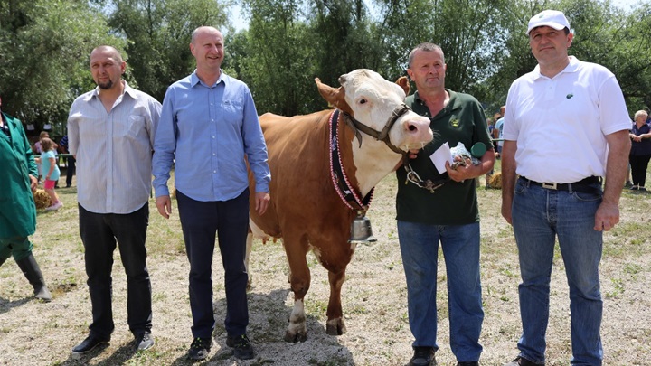 izložba stoke i konja