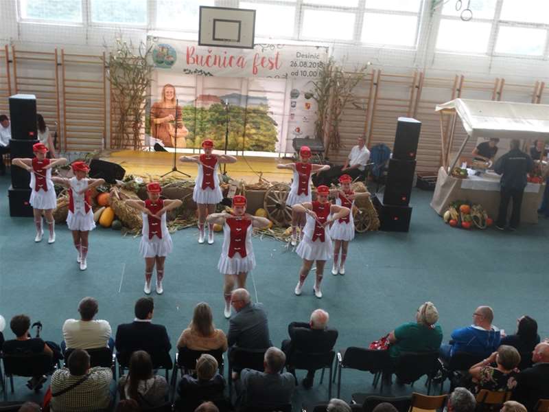 bučnica fest mažoretkinje.JPG