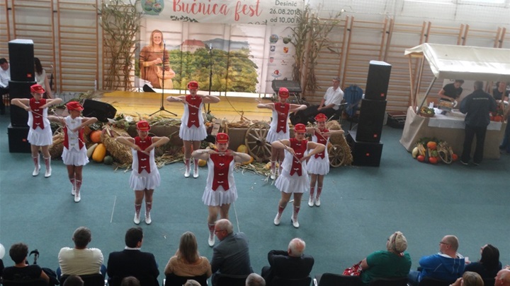 bučnica fest mažoretkinje.JPG