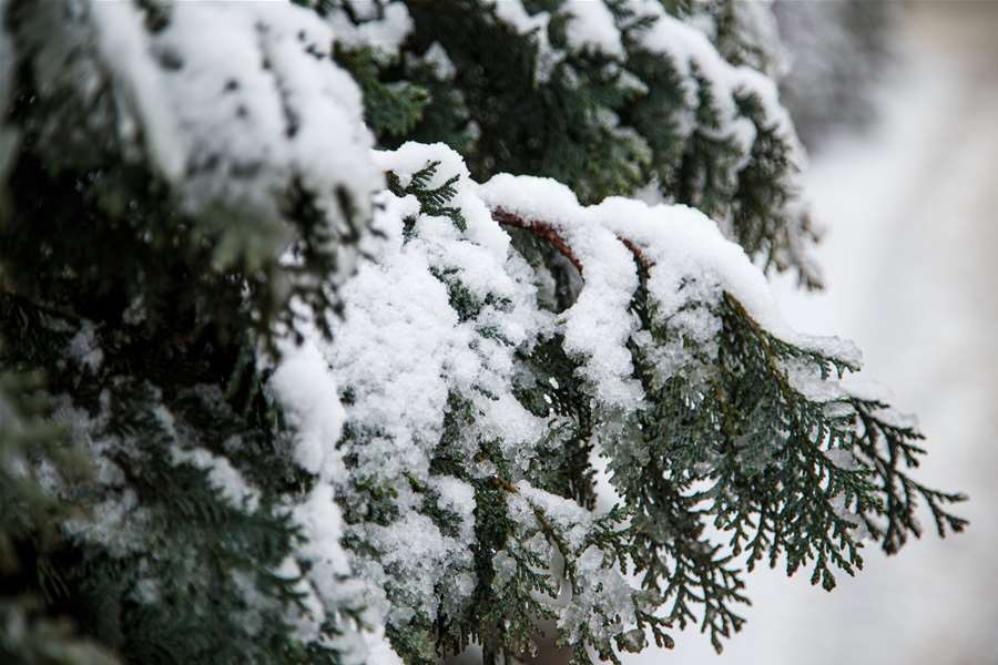 prognoza zima snijeg (14).jpg