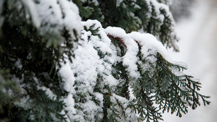 prognoza zima snijeg (14).jpg
