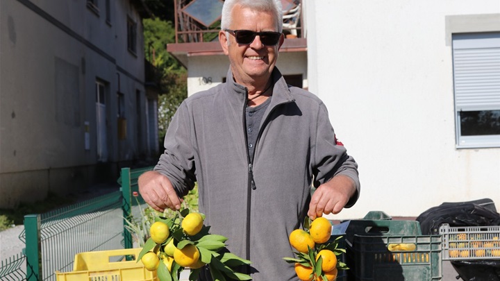 ivo mandarine.jpg