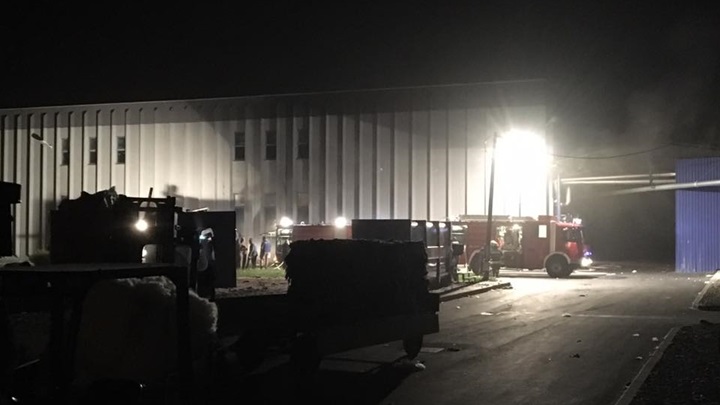 pozar regeneracija.jpg