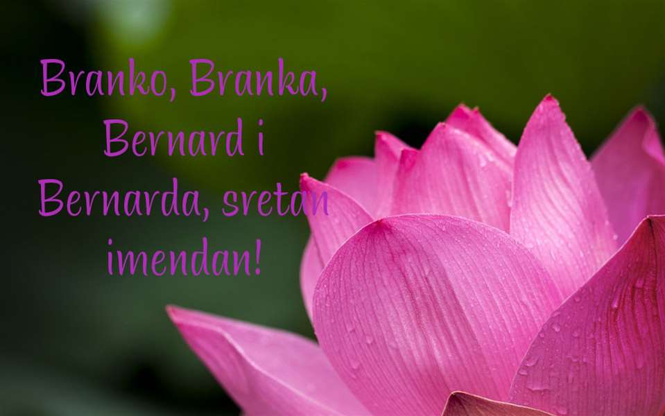 -Branko, Branka, Bernard i Bernarda