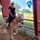 Centar Ritam s konjem organizira turnir u jahanju