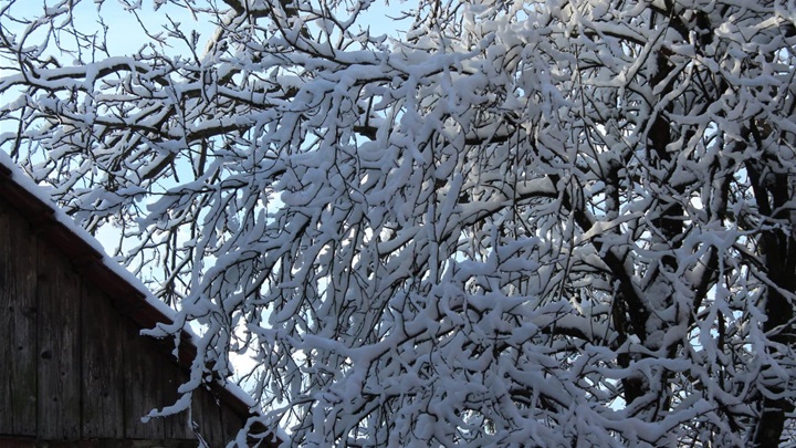 Snijeg Petrovsko (11).jpg