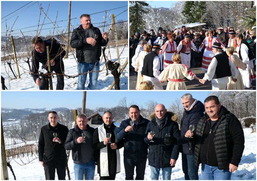 vincekovo glavna.jpg