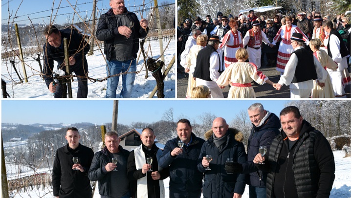 vincekovo glavna.jpg