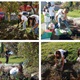 Volonterska akcija uređivanja cvjetnjaka u Zaboku