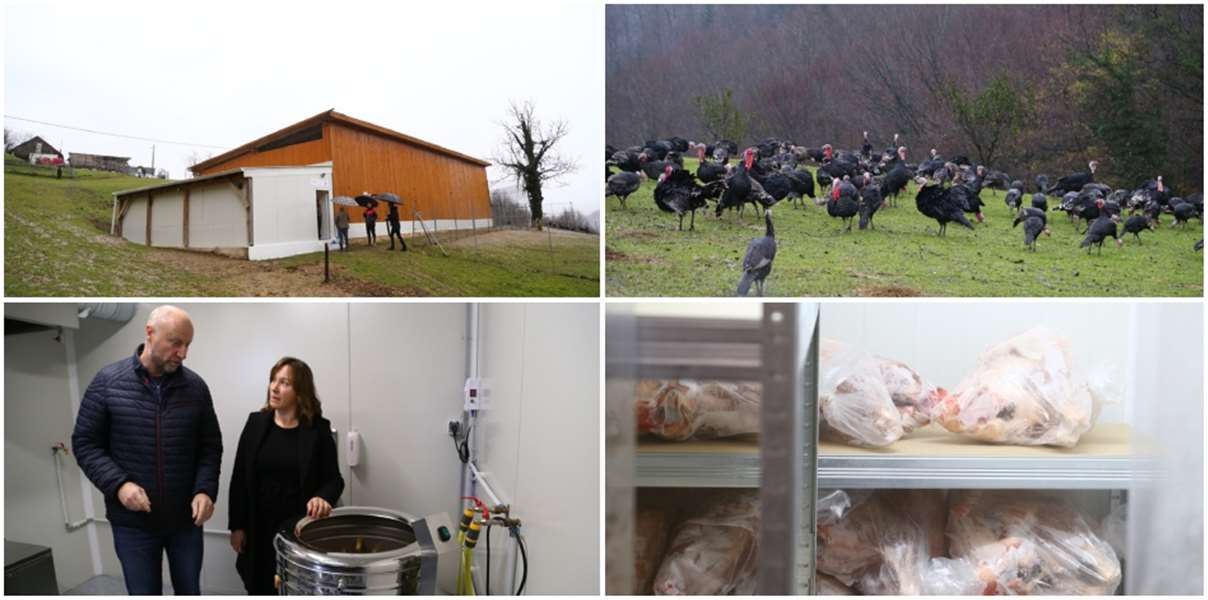 naslovna2 - 2024-11-27T123321.113.jpg