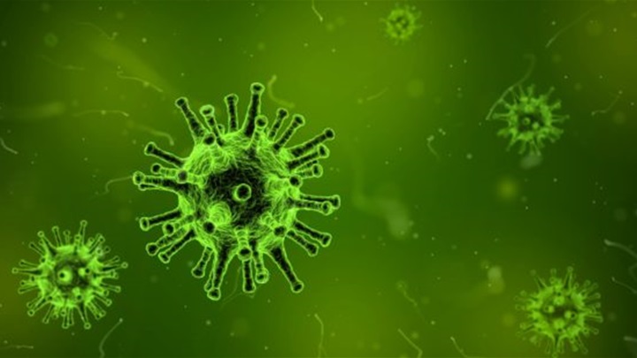koronavirus