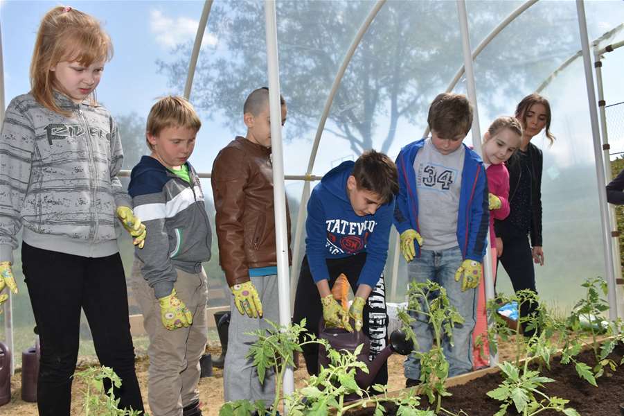 udruga feniks vrt 5.jpg