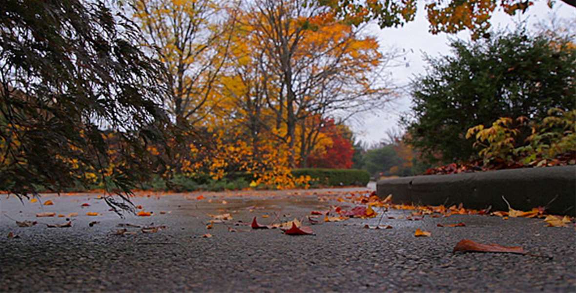 autumn_rain2_590x300.jpg
