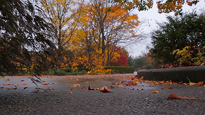 autumn_rain2_590x300.jpg