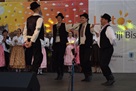 folklor marija bistrica 4.JPG