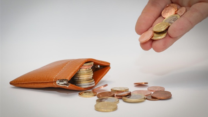 euro kovanice foto pixsell.jpg