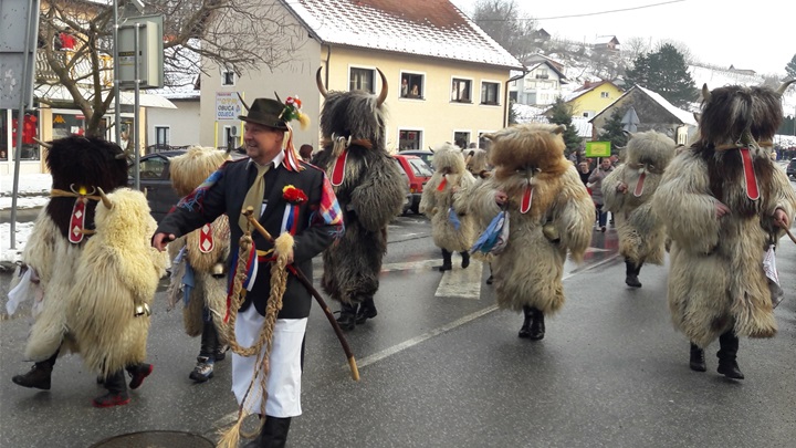 Fašnička udruga iz Slovenije
