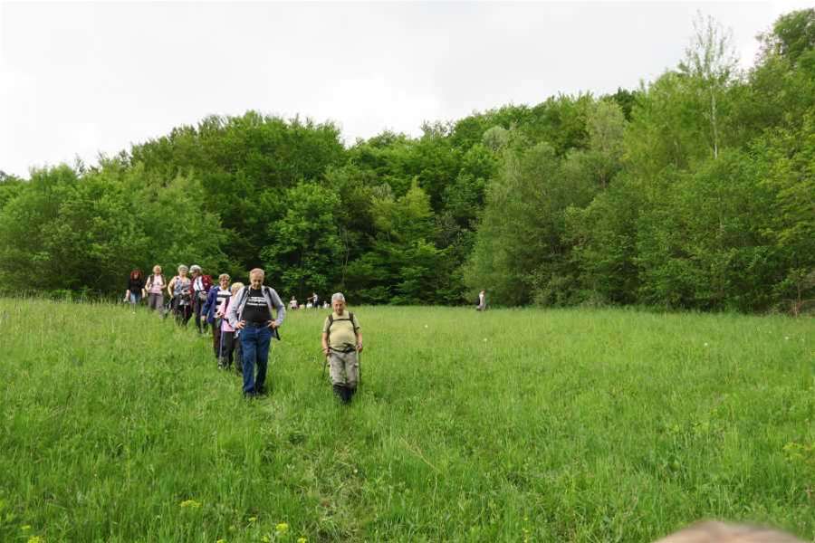 DANI ORHIDEJA SMANJENO 2.jpg