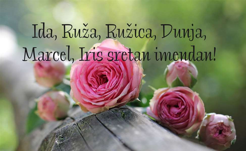 -Ida, Ruža, Ružica, Dunja, Marcel, Iris