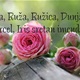 Ruža, Ružica, Dunja, Marcel, Ida i Iris slave imendan! Doznajte značenje tih imena