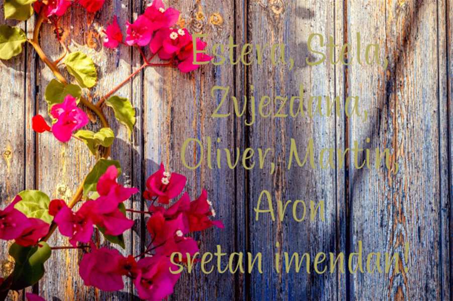 -Estera, Stela, Zvjezdana, Oliver, Martin, Aron