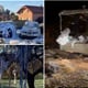 VIDEO I FOTO: 'Štrajenje' kao dobrodošlica za malenog Niku
