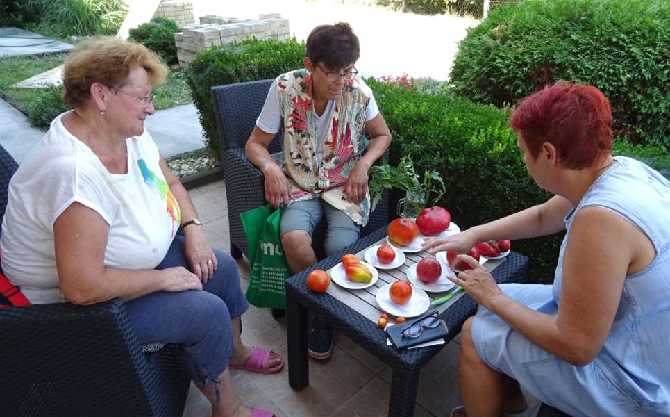 Mirjana Hudi Vlahek educira susjede.jpg