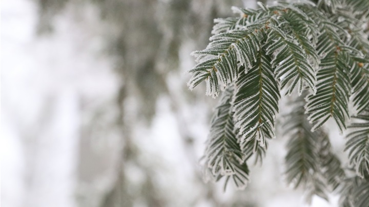 vrijeme zima mraz (1).jpg