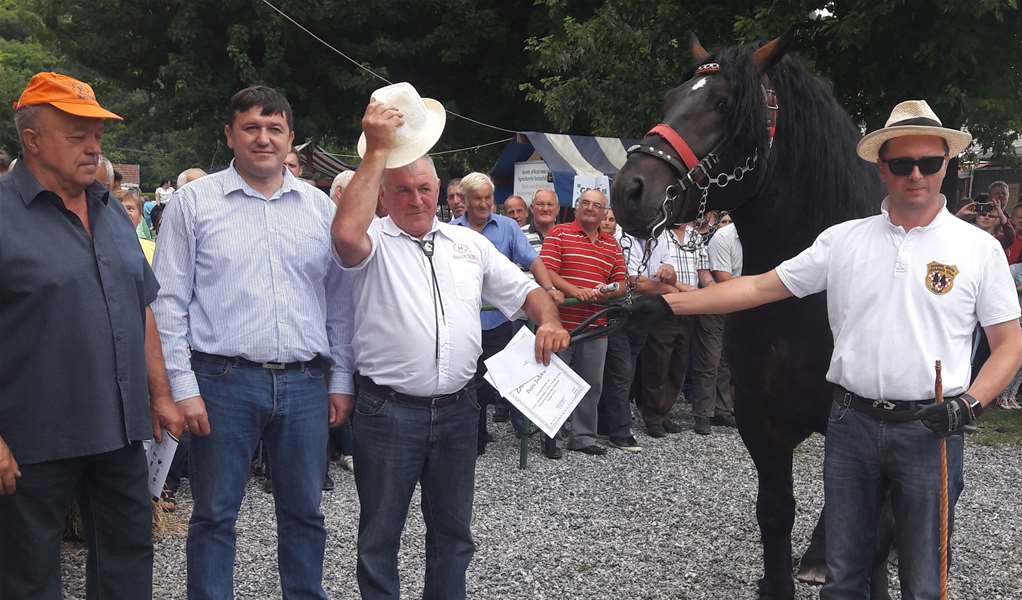 Najljepšim konjem izložbe proglašen je pastuh Cvijetko