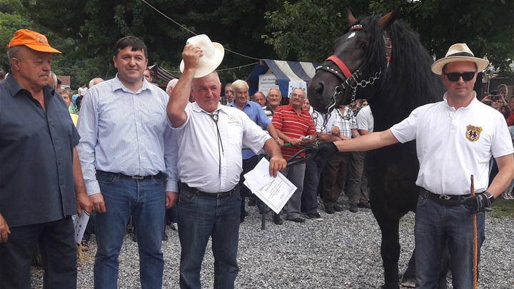 Najljepšim konjem izložbe proglašen je pastuh Cvijetko