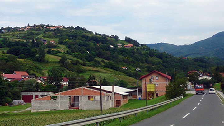 novi golubovec