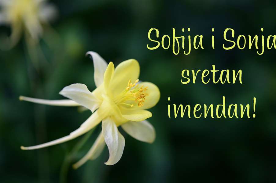 -Sofija, Sonja