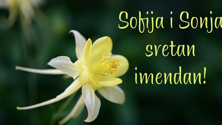 -Sofija, Sonja