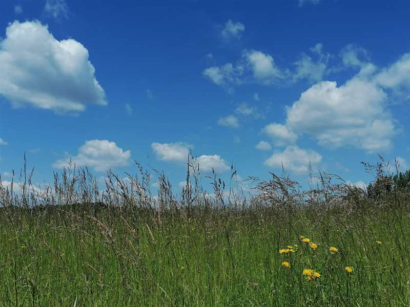 prognoza ljeto sunce