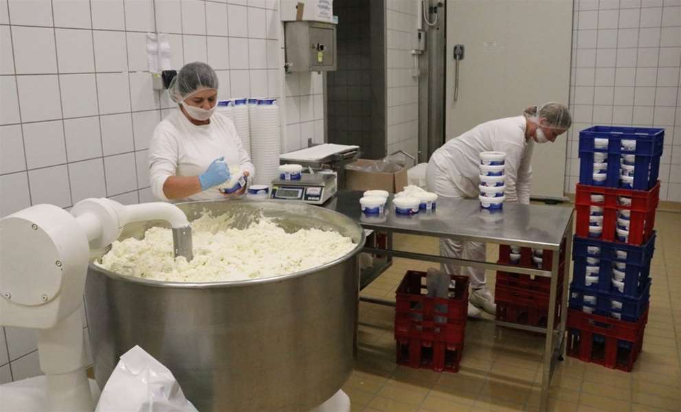 radnici mljekara veronika.jpg