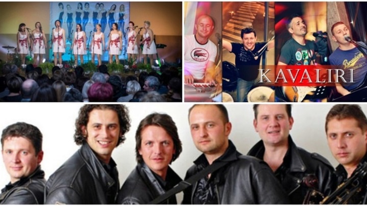 tamburaška noć mače.jpg