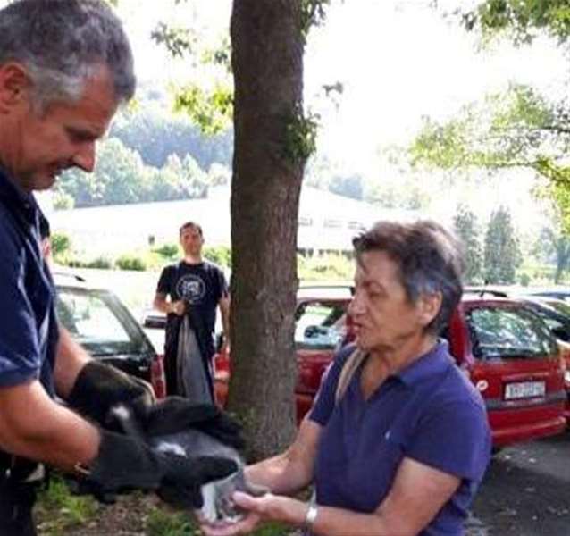 maca i vatrogasci.jpg