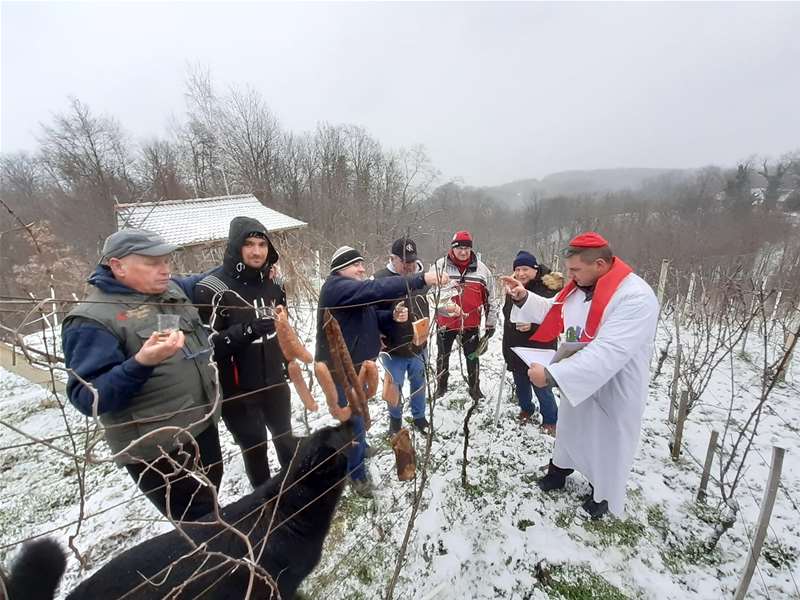 Vincekovo  kod Avelina Fijačkog.jpg