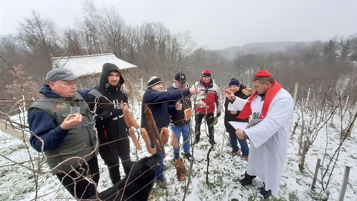 Vincekovo  kod Avelina Fijačkog.jpg