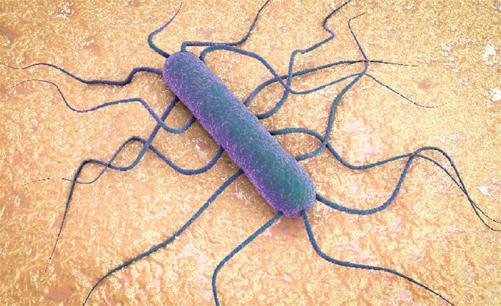 1921_Merck_Listeria.jpg