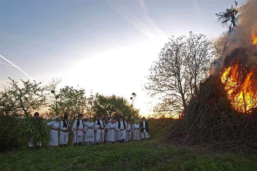 picelj jurjevo 8.JPG