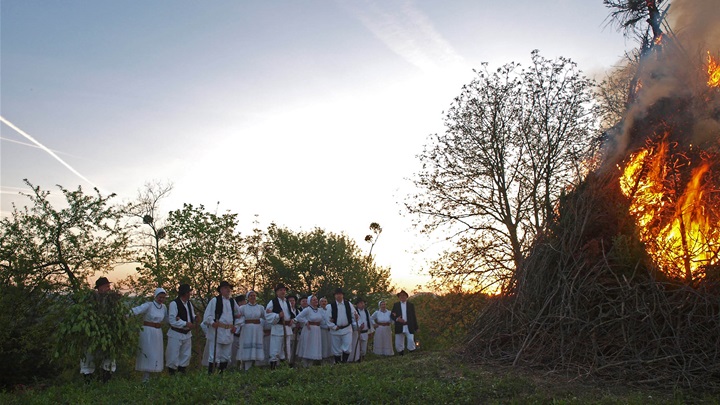 picelj jurjevo 8.JPG